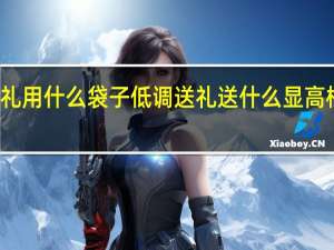 送礼用什么袋子低调 送礼送什么显高档又实用
