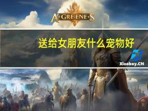 送给女朋友什么宠物好
