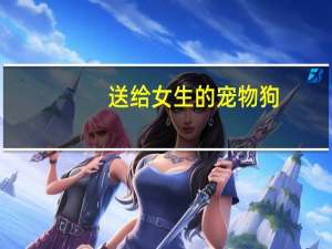 送给女生的宠物狗