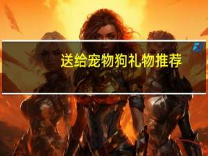 送给宠物狗礼物推荐