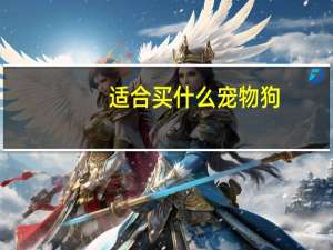 适合买什么宠物狗