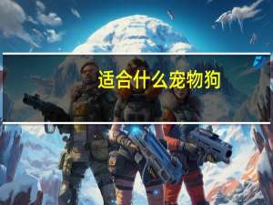 适合什么宠物狗