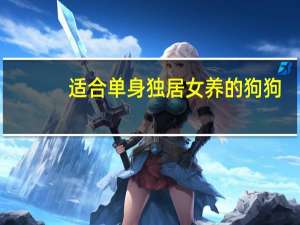 适合单身独居女养的狗狗