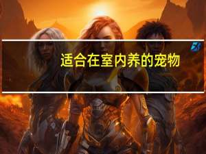 适合在室内养的宠物