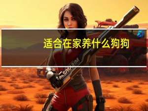 适合在家养什么狗狗