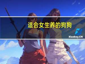 适合女生养的狗狗