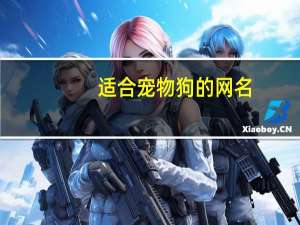 适合宠物狗的网名