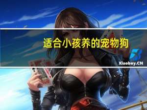 适合小孩养的宠物狗