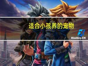 适合小孩养的宠物