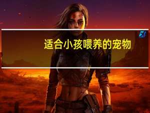 适合小孩喂养的宠物