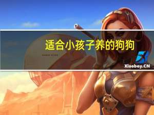 适合小孩子养的狗狗