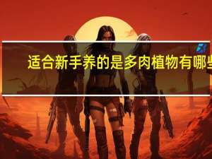 适合新手养的是多肉植物有哪些