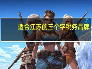 适合江苏的三个字税务品牌