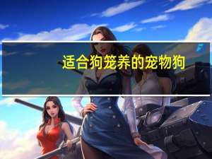 适合狗笼养的宠物狗