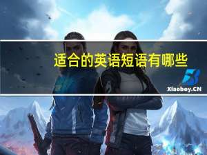 适合的英语短语有哪些