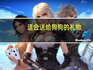 适合送给狗狗的礼物