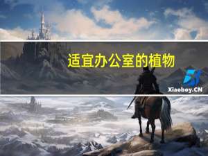 适宜办公室的植物