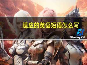 适应的英语短语怎么写
