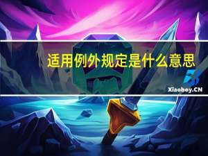 适用例外规定是什么意思