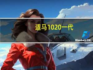 适马1020一代（适马1020）