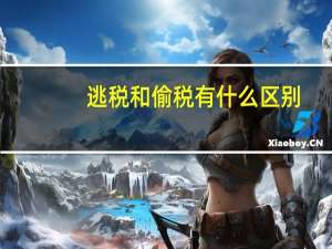 逃税和偷税有什么区别