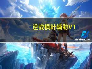 逆战枫叶辅助 V1.8 官方最新版（逆战枫叶辅助 V1.8 官方最新版功能简介）