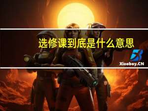 选修课到底是什么意思