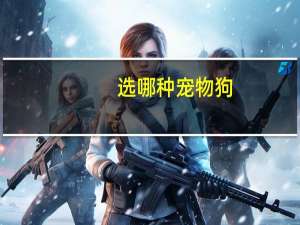 选哪种宠物狗