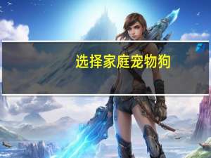 选择家庭宠物狗