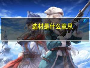 选材是什么意思