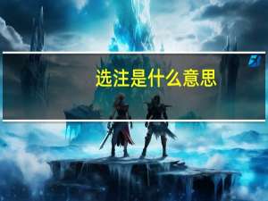 选注是什么意思