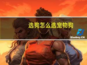 选狗怎么选宠物狗