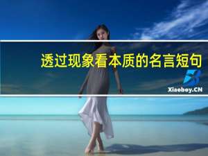 透过现象看本质的名言短句（透过现象看本质的名言）
