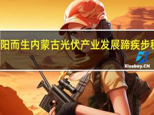 逐日而行 向阳而生 内蒙古光伏产业发展蹄疾步稳 到底什么情况嘞