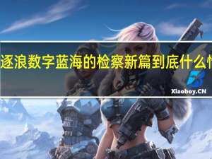 逐浪数字蓝海的检察新篇 到底什么情况嘞