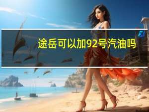 途岳可以加92号汽油吗