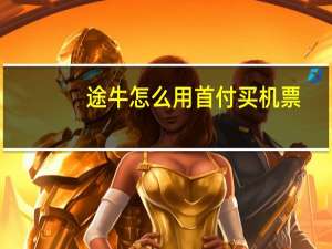 途牛怎么用首付买机票