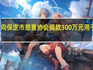 途虎养车向保定市慈善协会捐款300万元用于防汛救灾工作