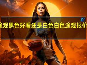 途观黑色好看还是白色 白色途观报价及图片