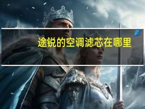 途锐的空调滤芯在哪里