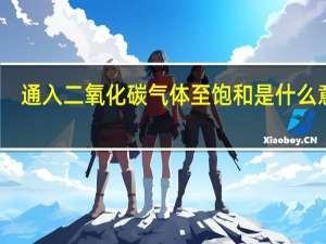 通入二氧化碳气体至饱和是什么意思