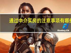 通过中介买房的注意事项有哪些