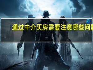 通过中介买房需要注意哪些问题