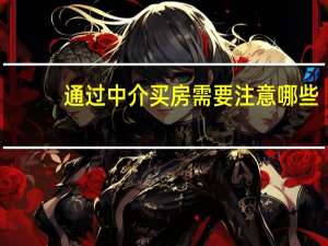 通过中介买房需要注意哪些