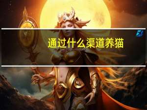 通过什么渠道养猫