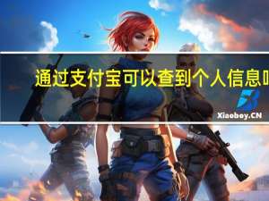 通过支付宝可以查到个人信息吗