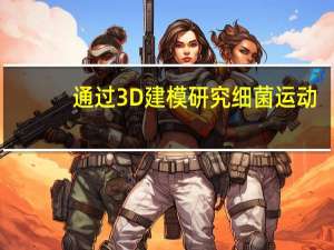 通过3D建模研究细菌运动