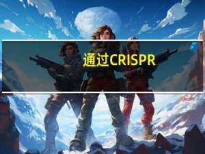 通过CRISPR-Csm复合物精确靶向转录本