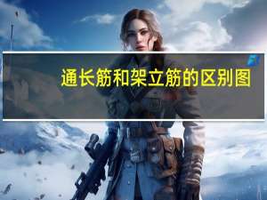 通长筋和架立筋的区别图（通长筋和架立筋的区别）