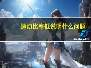 速动比率低说明什么问题